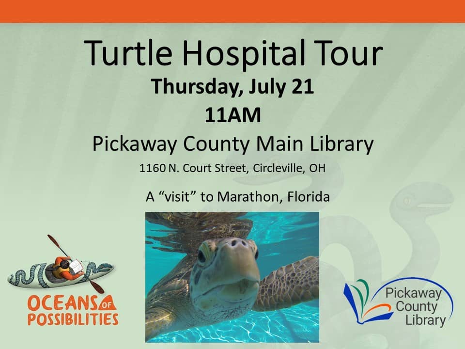 Summer event Turtle Hospital Tour