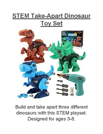 Prize raffle - Take-apart Dinosaur set